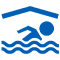 eswteriki pisina icon