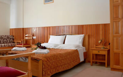 Adonis Hotel Μέτσοβο (4.7/5)