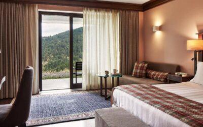 Grand Forest Metsovo