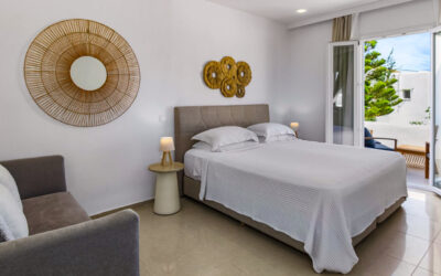 Paliomylos Spa Hotel Paros